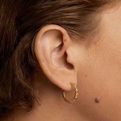 P D Paola Color 18 karat gold plated Earrings AR01-B96-U