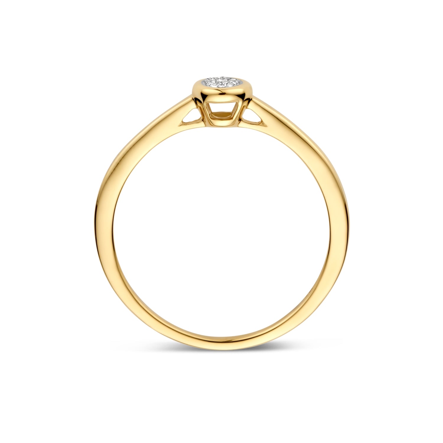 Blush Natural Diamonds 14 karat gold Ring 1679BDI/54