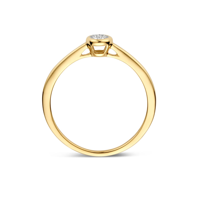 Blush Natural Diamonds 14 karat gold Ring 1679BDI/54-zoom-