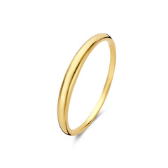 Isabel Bernard Rivoli Maryn 14 Karaat Gouden Ring IB330099-48