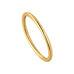 Ania Haie Gold Collection 14 Carat Gold Ring AH-RAU001-06YG-54
