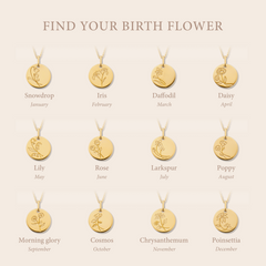 Violet Hamden Venus 925 Sterling Silver Gold-coloured Necklace with Birthflower VH340025-AUG